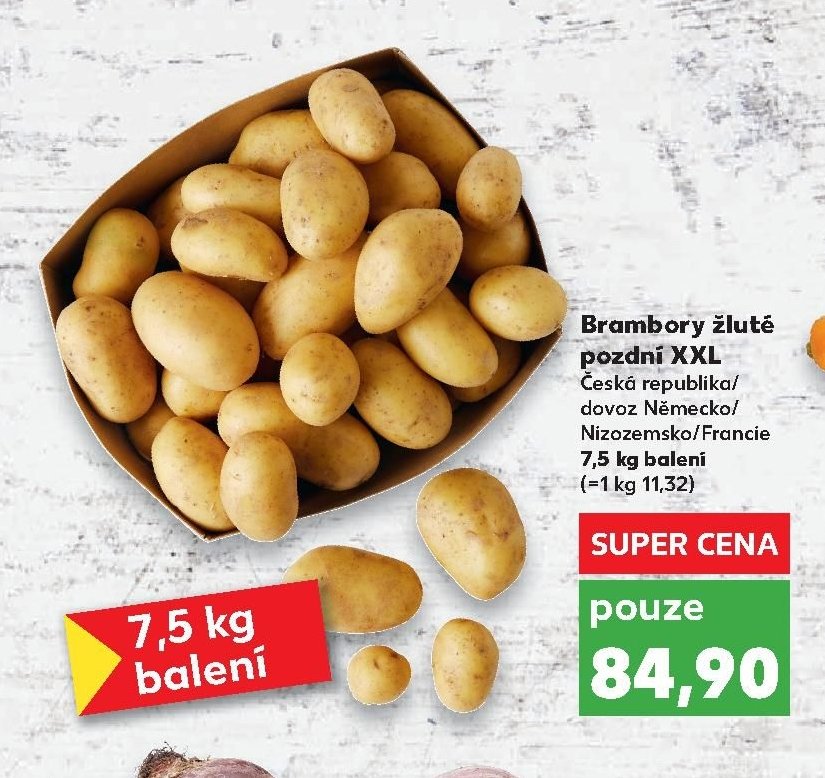 Brambory žluté pozdní XXL