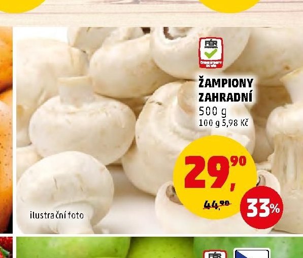 Žampiony zahradní