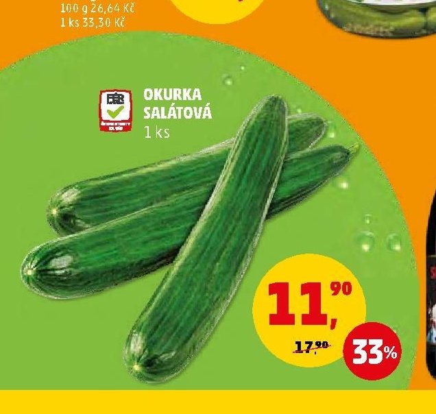 Okurka salátová