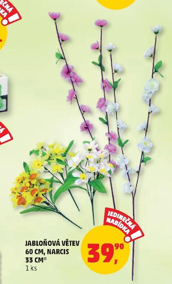 JABLOŇOVÁ VĚTEV 60 CM, NARCIS 33 CM