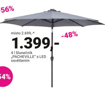 SLUNEČNÍK „PACHEVILLE“