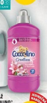 Aviváž Coccolino