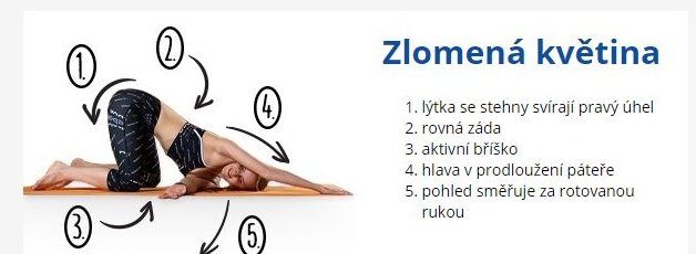 Zlomená květina