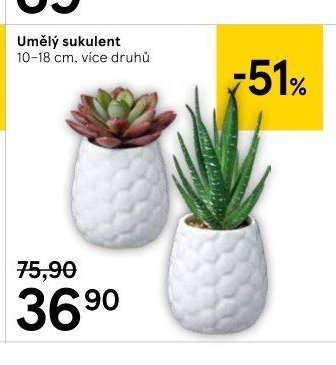 Umělý sukulent