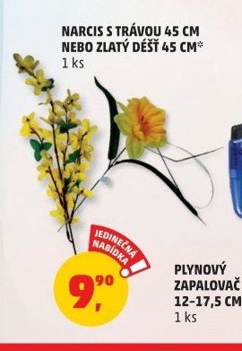 Narcis s trávou 45 cm nebo Zlatý déšť 45 cm