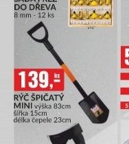 Rýč špičatý mini