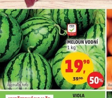 MELOUN VODNÍ