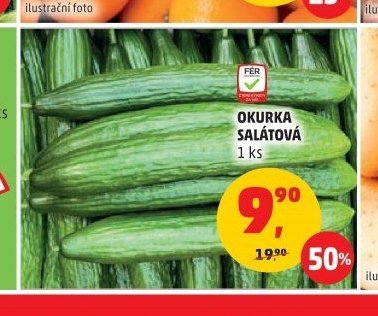 OKURKA SALÁTOVÁ