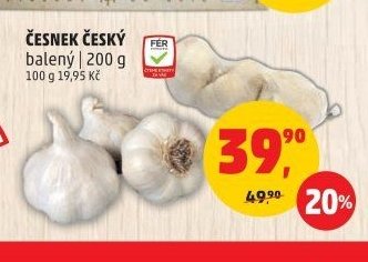 ČESNEK ČESKÝ