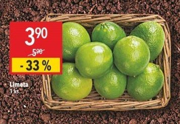 Limeta