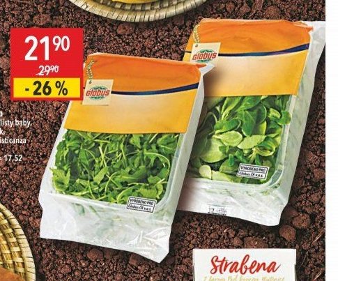 Rukola, polníček, salát Misticanza