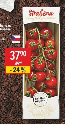 Rajčata cherry na stonku Strabena