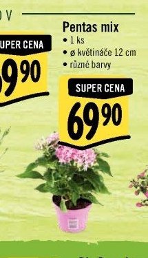 Pentas mix