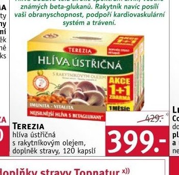 TEREZIA Hlíva ústřičná