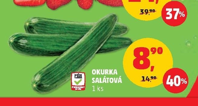 OKURKA SALÁTOVÁ