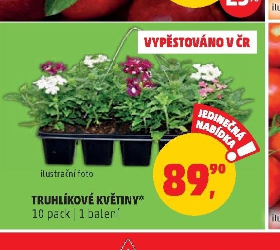TRUHLÍKOVÉ KVĚTINY