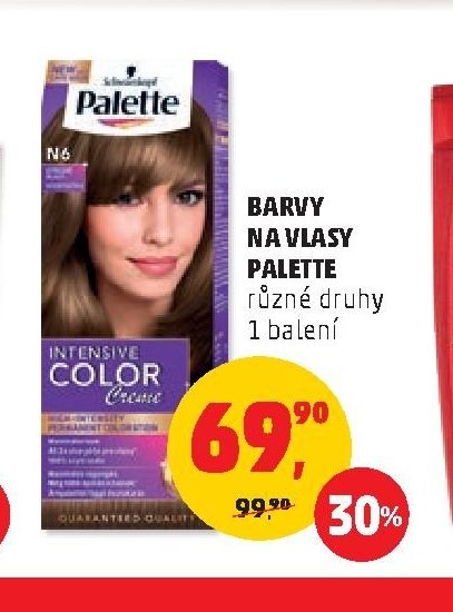 Barvy na vlasy Palette