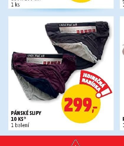 Pánské slipy 10 ks