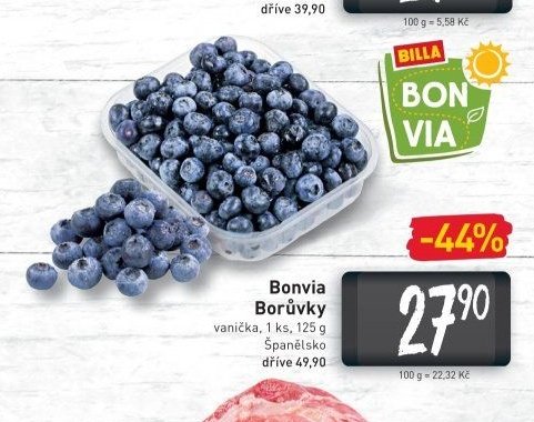 Bonvia Borůvky