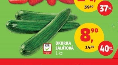 OKURKA SALÁTOVÁ 1 ks