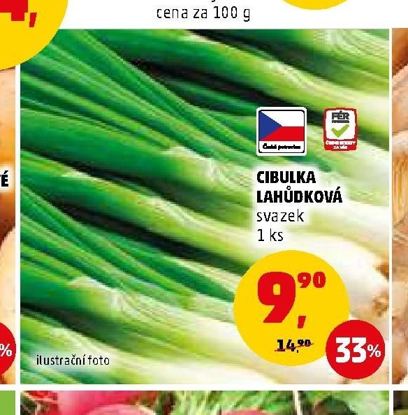 CIBULKA LAHŮDKOVÁ
