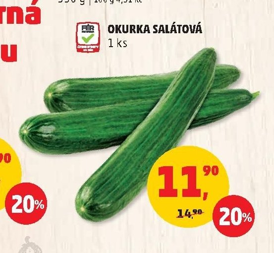 OKURKA SALÁTOVÁ