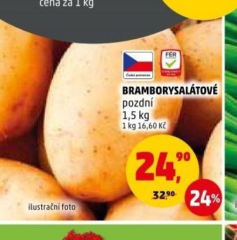Brambory salátové pozdní