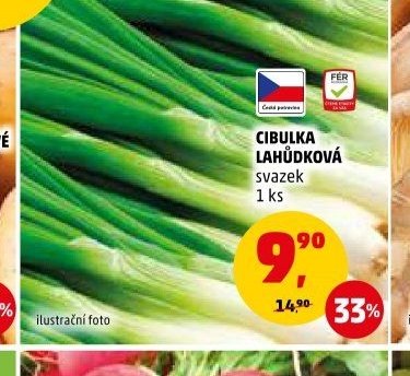 Cibulka lahůdková
