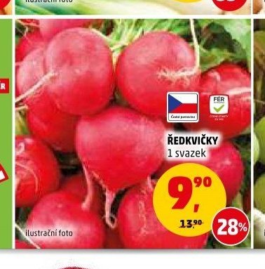 Ředkvičky