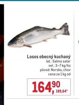 Losos obecný kuchaný