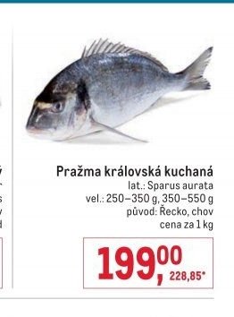 Pražma královská kuchaná