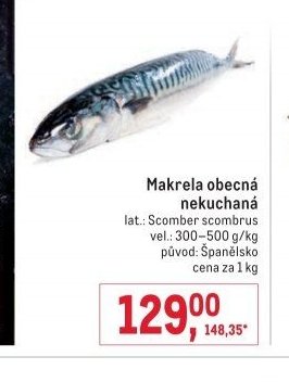 Makrela obecná nekuchaná