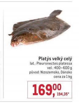Platýs velký celý