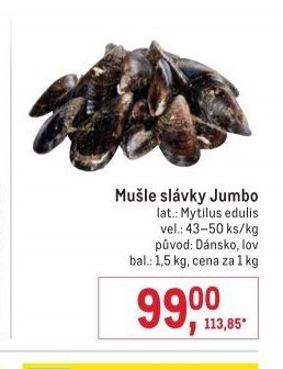 Mušle slávky Jumbo