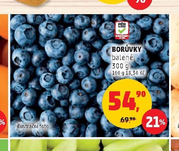 BORŮVKY