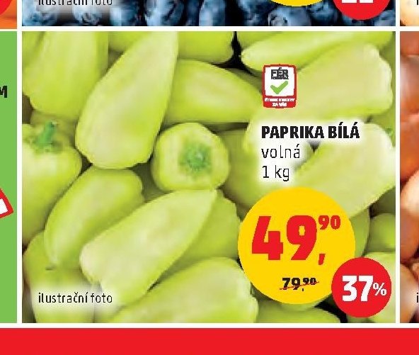 PAPRIKA BÍLÁ