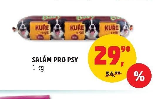 SALÁM PRO PSY