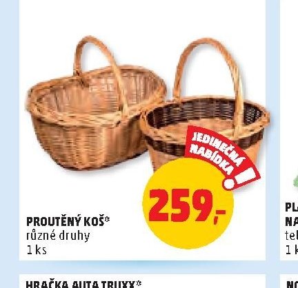 PROUTĚNÝ KOŠ