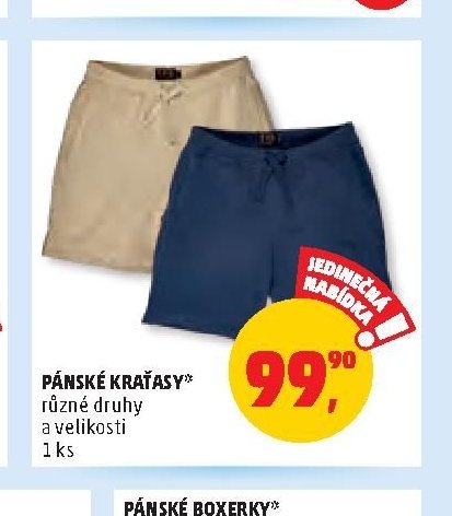 PÁNSKÉ KRAŤASY*