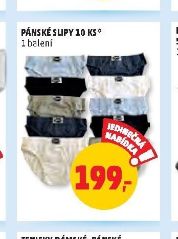 PÁNSKÉ SLIPY 10 KS*