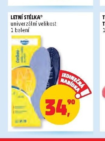 LETNÍ STÉLKA*