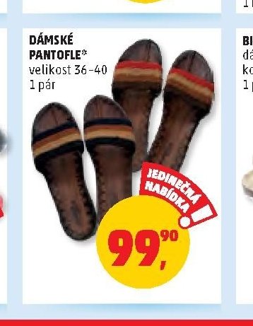 DÁMSKÉ PANTOFLE*