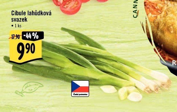 Cibule lahůdková svazek