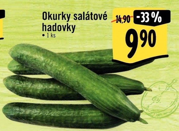 Okurka hadovka
