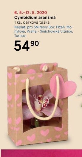 Cymbidium aranžmá