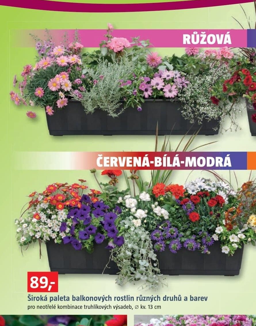 Široká paleta balkonových rostlin různých druhů a barev - BAUHAUS akcniletaky.com