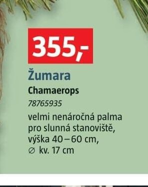 Žumara