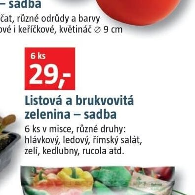 Listová a brukvovitá zelenina - sadba