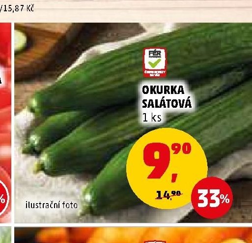 OKURKA SALÁTOVÁ