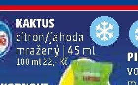 Kaktus